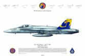 No 578, F/A-18C Hornet, VFA-192.